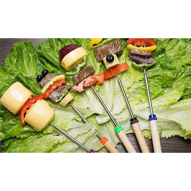 Photos - BBQ Accessory LakeForest LakeForest® Stainless Steel Roasting Sticks Set with Bonus Uten