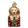 Golden Retriever Puppy Surprise Glass Ornament