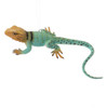 Collared Lizard Ornament