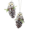 Bristle Eyes Furry Baby Owl on Real Pinecone Ornament