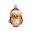 Santa Hat Owl Glass Ornament