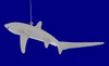 Thresher Shark Ornament