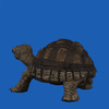 Break Resistant Tortoise Figurine