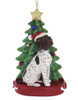 German Shorthair with Christmas Tree Ornament