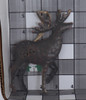 Brown Metal Deer Ornament in size box