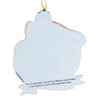 Hispanic U.S. Air Force Airman Ornament back