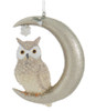 Owl Standing On Moon Ornament Tufts Front