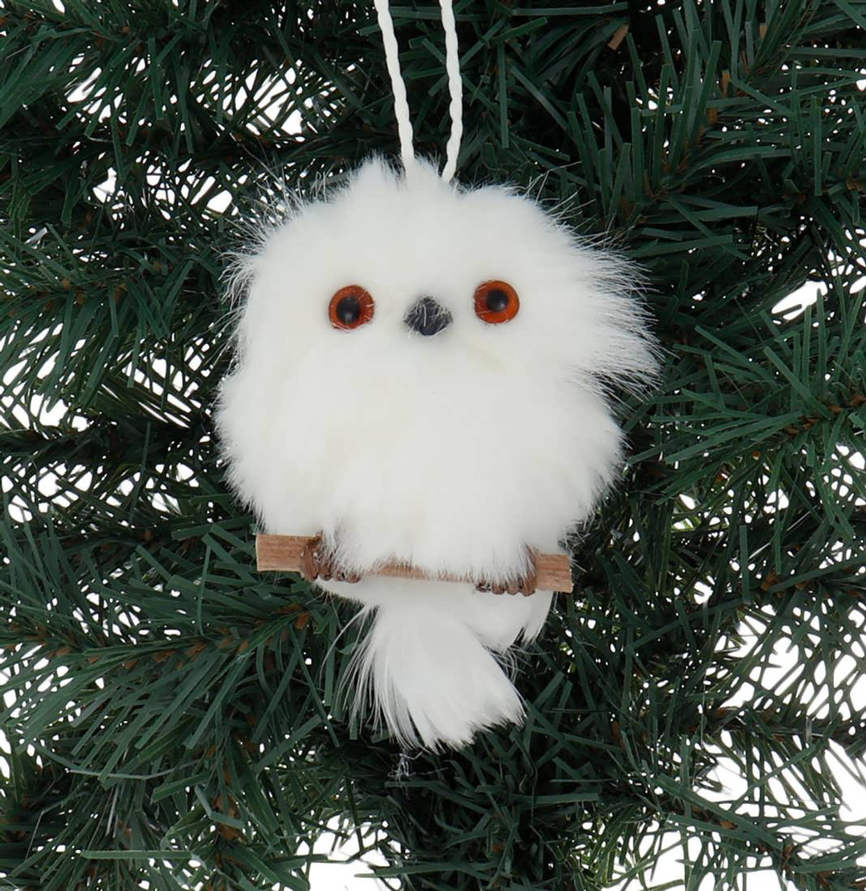 fluffy baby owl