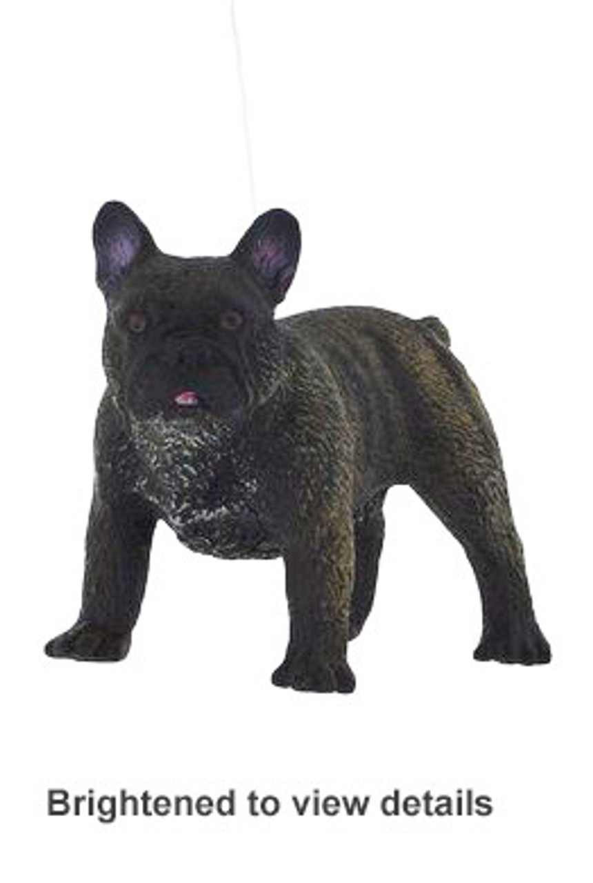 miniature french bulldog black