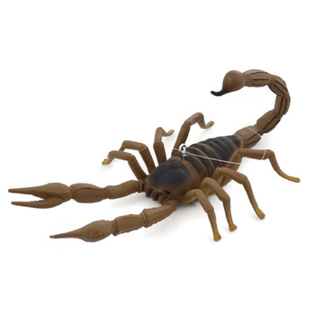 Large Scorpion Ornament Decor