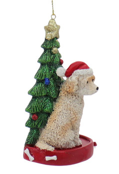 Cream - Apricot Labradoodle with Christmas Tree Ornament Right Side