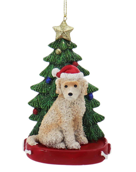 Cream - Apricot Labradoodle with Christmas Tree Ornament