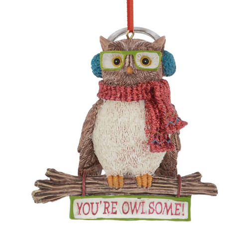 You're Owlsome Owl Ornament