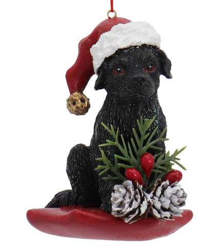  Tree Buddees Pet Puppy's First Christmas Bone Present Dog  Ornaments (Black Lab) : Home & Kitchen