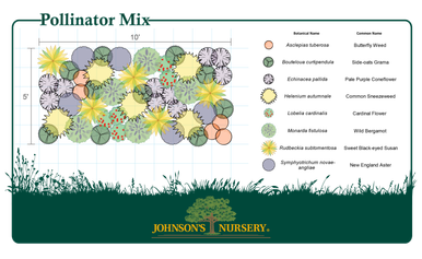 Mixed Flat - Pollinator