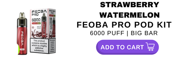 Strawberry Watermelon Feoba Pro 6000 6K Puff Pod Kit