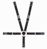 5-Pt Harness 2in Cam Lock Blk Pull Up