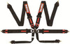 6pt Harness Camlock Blk FIA
