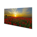 900W Setting Sun Picture Prime Infrared Heating Panel 1200 x 600 - Electric Wall Panel Heater