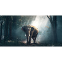 900W Jungle Elephant Picture Prime Infrared Heating Panel 1200 x 600 - Electric Wall Panel Heater