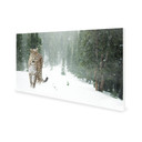 900W Persian Leopard Picture Prime Infrared Heating Panel 1200 x 600 - Electric Wall Panel Heater