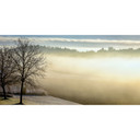 900W Spring Morning Picture Prime Infrared Heating Panel 1200 x 600 - Electric Wall Panel Heater