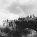 450W Clouded Trees Picture Prime Infrared Heating Panel 600 x 600 - Electric Wall Panel Heater