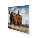 450W Highland Pride Picture Prime Infrared Heating Panel 600 x 600 - Electric Wall Panel Heater