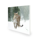 450W Persian Leopard Picture Prime Infrared Heating Panel 600 x 600 - Electric Wall Panel Heater