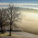 450W Spring Morning Picture Prime Infrared Heating Panel 600 x 600 - Electric Wall Panel Heater