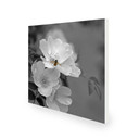 450W Pollination Picture Prime Infrared Heating Panel 600 x 600 - Electric Wall Panel Heater
