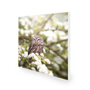 450W Owl In The Spring Picture Prime Infrared Heating Panel 600 x 600 - Electric Wall Panel Heater