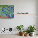 450W Irises Picture Prime Infrared Heating Panel 600 x 600 - Electric Wall Panel Heater
