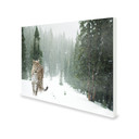 700W Persian Leopard Picture Prime Infrared Heating Panel 900 x 600 - Electric Wall Panel Heater