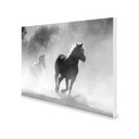700W Galloping Stallions Picture Prime Infrared Heating Panel 900 x 600 - Electric Wall Panel Heater
