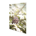 700W Owl In The Spring Picture Prime Infrared Heating Panel 900 x 600 - Electric Wall Panel Heater