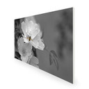 1100W Pollination Picture Prime Infrared Heating Panel 1100 x 700 - Electric Wall Panel Heater