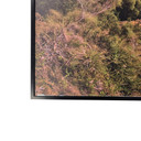 GRADE C - 700W Wild Sunset NXT Gen Infrared Heating Panel Black Frame 795 x 1195 - Electric Panel Heater