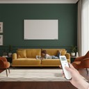 Mirrorstone Prime Infrared Heating Panel With Remote - 300-1100W