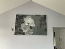 595x595 Exotic Bloom Picture Nexus Wi-Fi Infrared Heating Panel 350W - Electric Wall Panel Heater