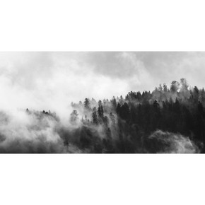 900W Clouded Trees Picture Prime Infrared Heating Panel 1200 x 600 - Electric Wall Panel Heater