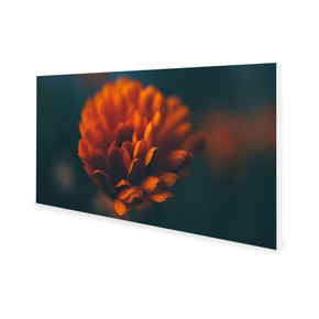 900W Flower Picture Prime Infrared Heating Panel 1200 x 600 - Electric Wall Panel Heater
