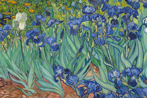 300W Irises Picture Prime Infrared Heating Panel 600 x 400 - Electric Wall Panel Heater