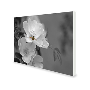 700W Pollination Picture Prime Infrared Heating Panel 900 x 600 - Electric Wall Panel Heater