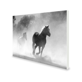 700W Galloping Stallions Picture Prime Infrared Heating Panel 900 x 600 - Electric Wall Panel Heater