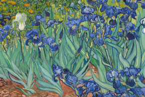 700W Irises Picture Prime Infrared Heating Panel 900 x 600 - Electric Wall Panel Heater