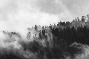 700W Clouded Trees Picture Prime Infrared Heating Panel 900 x 600 - Electric Wall Panel Heater