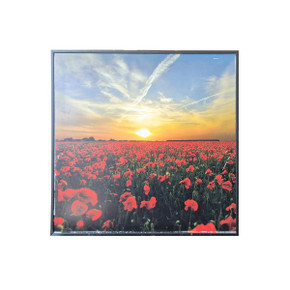 GRADE C - 350W Setting Sun Classic  Infrared Heating Panel - Electric Panel Heater Black Frame
