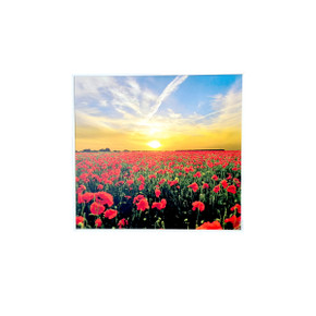 GRADE B - 350W Setting Sun Classic Infrared Heating Panel - Electric Panel Heater White Frame
