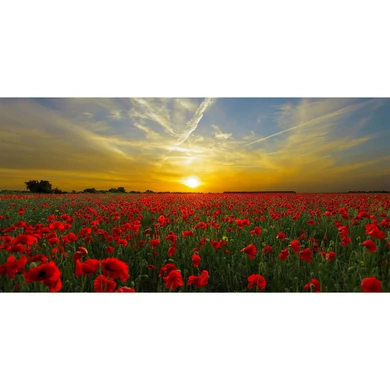 900W Setting Sun Picture Prime Infrared Heating Panel 1200 x 600 - Electric Wall Panel Heater